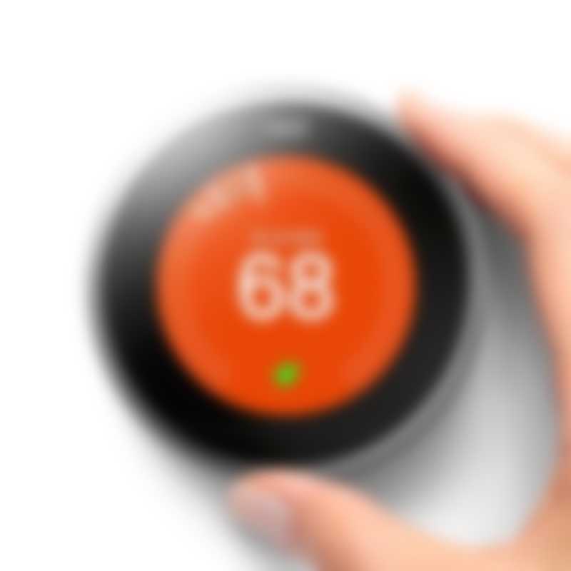 nest_orange
